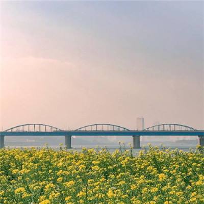 实探安徽滁河水质污染